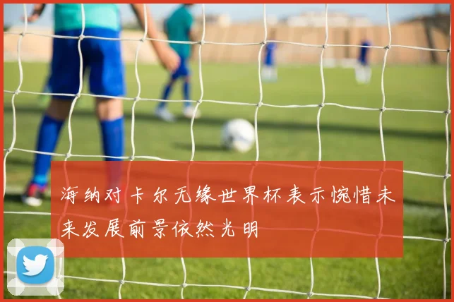 海纳对卡尔无缘世界杯表示惋惜未来发展前景依然光明
