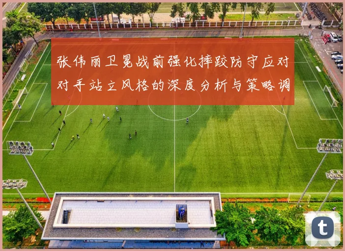 张伟丽卫冕战前强化摔跤防守应对对手站立风格的深度分析与策略调整